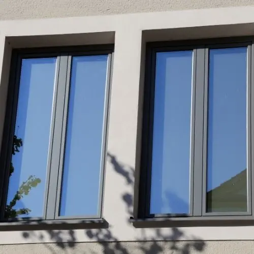 Exterior Windows
