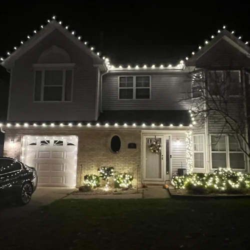 Christmas-img-2